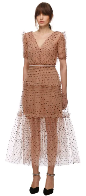 Dot Mesh Midi Dress