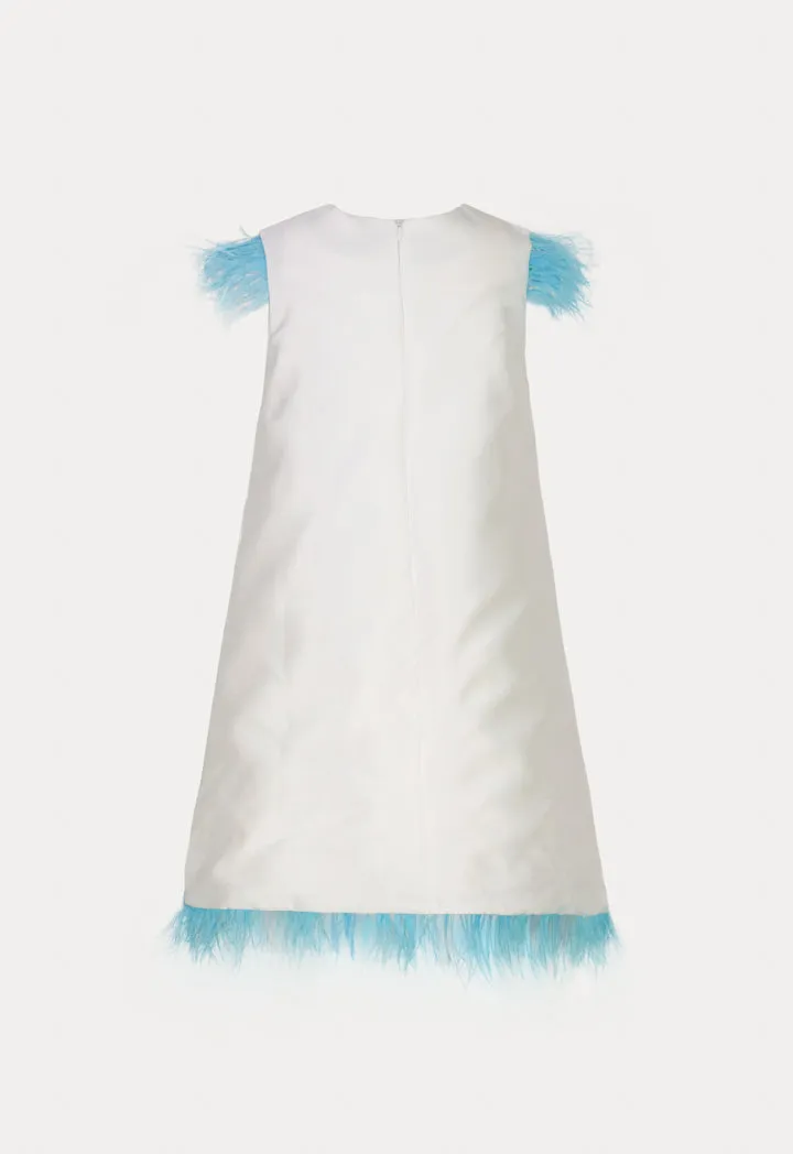 Fringed A-Line Dress