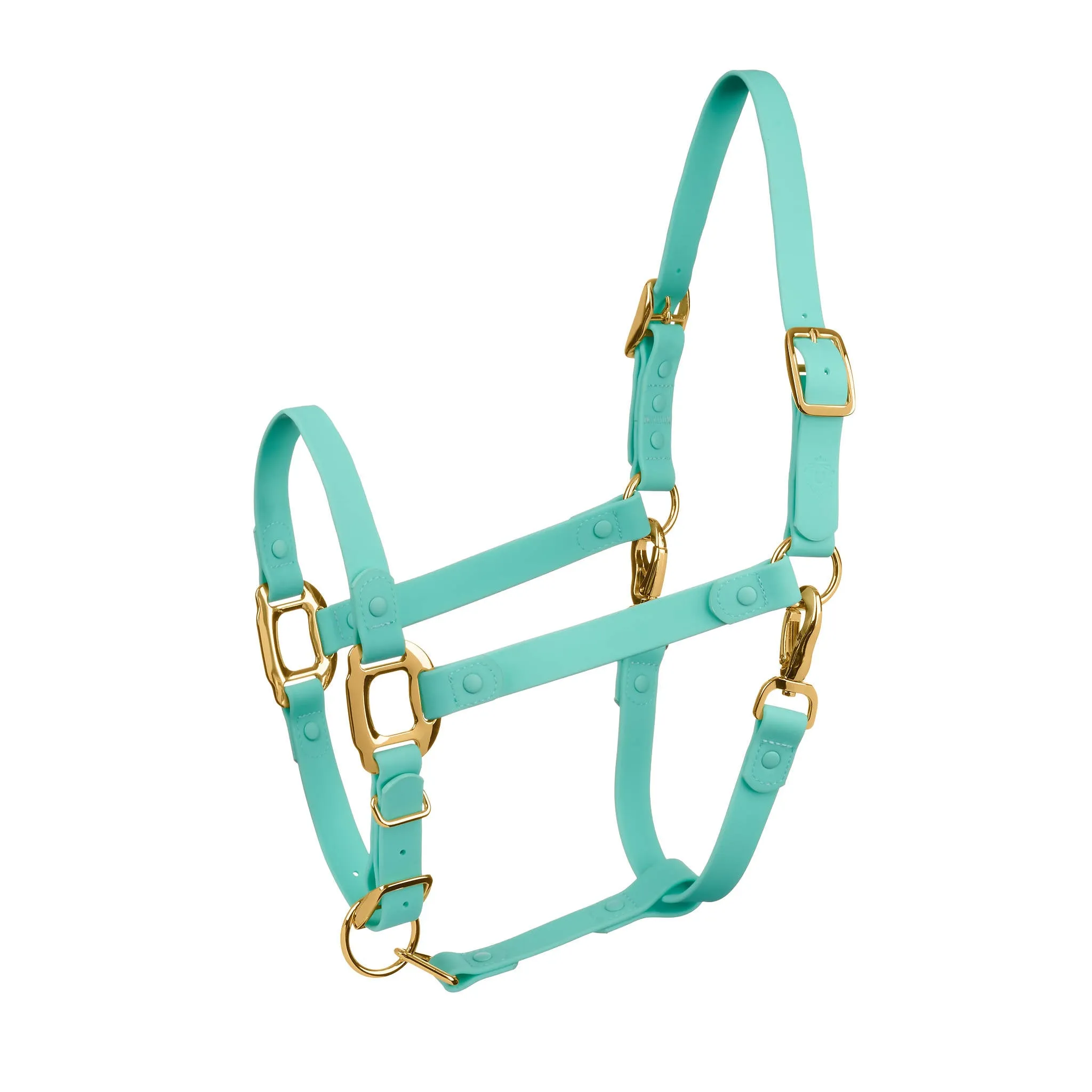 iCavalos Horse Halter Turquoise